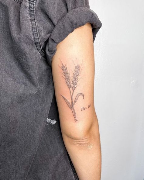 Emma on Instagram: "Wheat for Lisa! • • • #tattoo #tattooing #tattooartist #tattoos #art #drawing #tattooart #illustration #illustrativetattoo #floraltattoo #flashtattoo #qttr #pics_of_inked #blackwork #tattooideas #flowertattoo #botanicaltattoo #botanicalillustration #tattoostyle #wheattattoo" Buckwheat Tattoo, Wheat Tattoo, Lisa Tattoo, Botanical Tattoo, Tattoos Art, Buckwheat, Tattoo Style, Botanical Illustration, Flash Tattoo