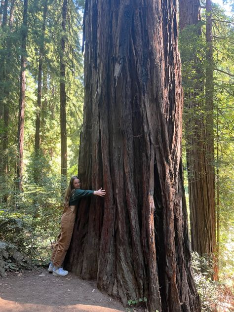 Cali Core Aesthetic, Sara Aesthetic Core, Muir Woods California Outfit, Fresh Air Aesthetic, Exploring The Woods Aesthetic, Redwood Aesthetic, Treehugger Aesthetic, Redwoods Aesthetic, California Forest Aesthetic