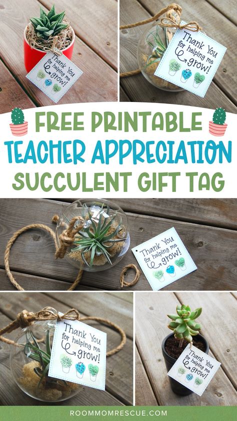 Show your child's teacher appreciation with this thoughtful, handmade gift! Whether it's for a special holiday, or for Teacher Appreciation Week, this free printable is the perfect way to say thank you for helping me grow. DIY this special surprise with the downloadable template and give them a heartfelt, personalized gift they won't forget! Get more best gifts for teachers ideas and school staff appreciation and teacher gifts at roommomrescue.com! Teacher Appreciation Week Gifts Diy, Teacher Gift Diy, Free Teacher Appreciation Gifts, Best Gifts For Teachers, Free Teacher Appreciation Printables, Unique Teacher Appreciation Gifts, Teacher Appreciation Gift Ideas, Teacher Appreciation Diy, Homemade Teacher Gifts