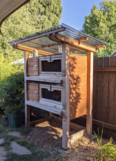 Quail Coop From Dresser, Diy Outdoor Quail Coop, Bobwhite Quail Coop, Small Quail Coop, Outdoor Quail Enclosure, Quail Coop Ideas Diy Outdoor, Quail Set Up, Quail House Ideas, Outdoor Quail Coop