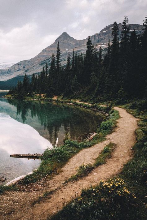 Forest And Lake Aesthetic, Lake District Mountains, Mountain Lake Aesthetic, Forest Lake Aesthetic, Uk Mountains, Mountains With Lake, Maine Forest, Forested Mountains, Lake Landscape Photography