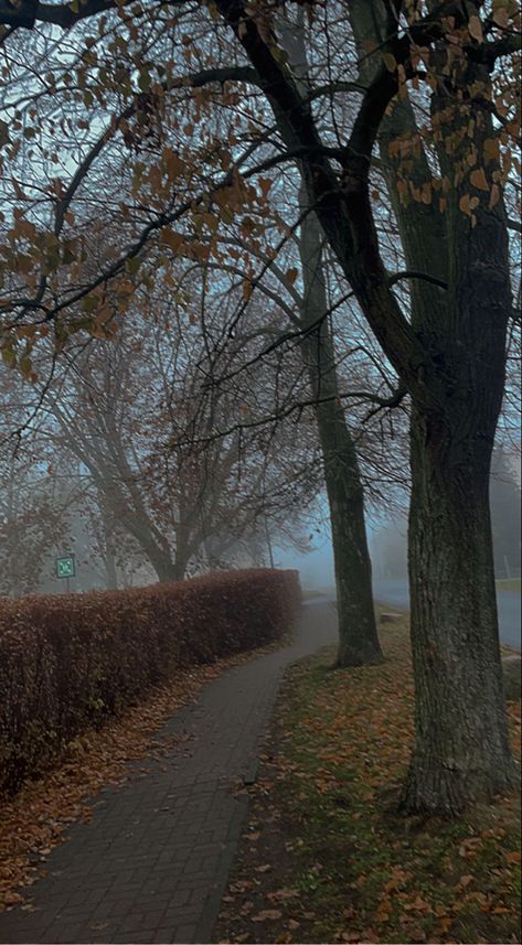 Dreary Fall Aesthetic, Cold Autumn Aesthetic, Foggy Autumn Aesthetic, 80s Fall Aesthetic, Autumn Rain Wallpaper, Cloudy Fall Day, 2006 Aesthetic, October Rain, Fog Autumn