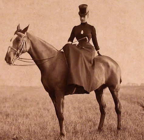 Horseback Riding Aesthetic, Riding Aesthetic, Maria Feodorovna, Riding Habit, Horse And Human, Side Saddle, Tsar Nicholas, Types Of Horses, On Horseback