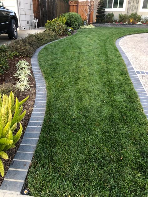 Lawn Edging, San Jose California, Lawn