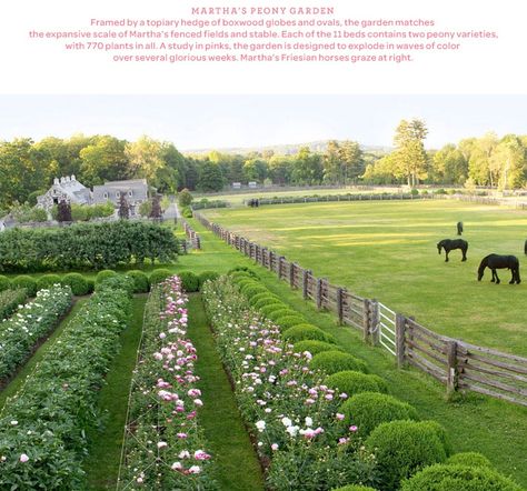 English Style Landscaping, Horse Stable Landscaping, Farm Neighborhood, Large Acreage Landscaping Ideas, Horses In Front Yard, Equestrian Farm Layout, Stable Landscaping, Barn Landscaping Ideas, Peony Garden