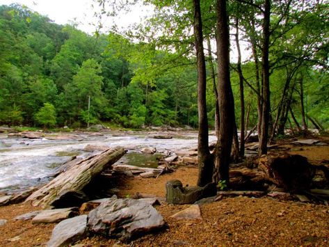 8. Sweetwater Creek State Park, Yellow Trail Waterfalls In Georgia, Sweetwater Creek State Park, Georgia Hiking, Explore Georgia, Hiking In Georgia, Cloudland Canyon, Gorges State Park, Backpacking Trails, Chattahoochee National Forest