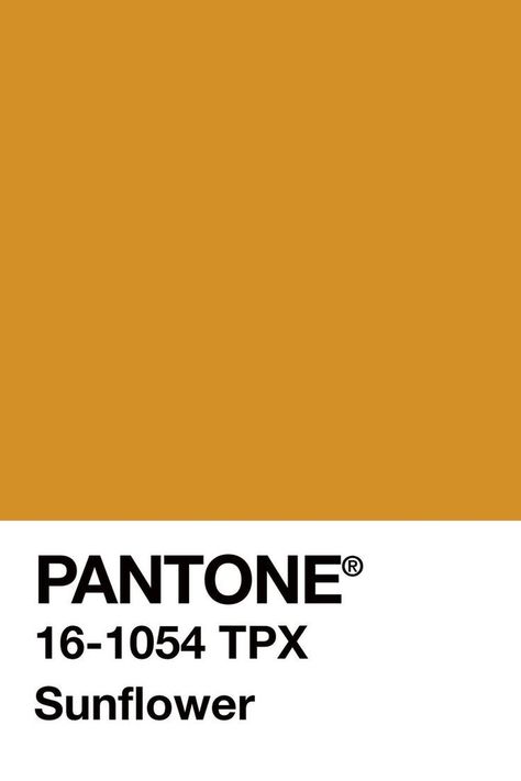 Golden rod. Deep Yellow Color, Pantone Sunflower, Pantone Mustard, Mustard Yellow Pantone, Pantone Color Swatches, Ochre Color, Yellow Pantone, Pantone Palette, Pantone Colour Palettes