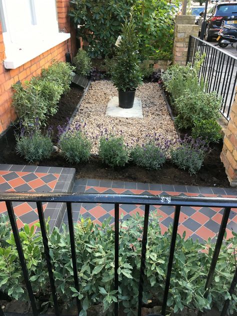 Small front gardens - PLANTING GEMS Victorian House Front Garden, Townhouse Front Garden, Tiny Front Garden Ideas, Small Front Garden Design, Small Back Garden Ideas, Small Front Garden Ideas Uk, Terraced House Front Garden, Small London Garden, Small Terraced House