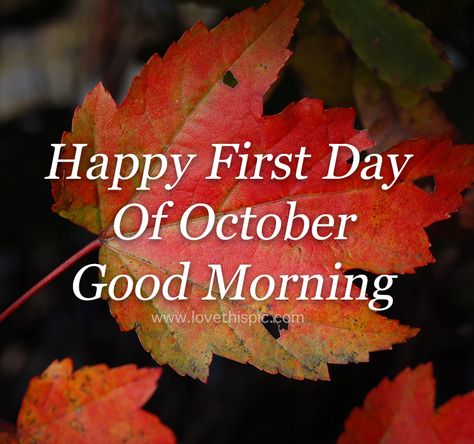 Happy First Day Of October Good Morning Pictures, Photos, and Images for Facebook, Tumblr, Pinterest, and Twitter Good Morning Happy 1st Day Of October 2023, Happy First Day Of October Quotes, Good Morning October 1st, 1st October Quotes, October Good Morning, October Quotes Inspirational, 1 October Quotes, Good Morning October, 1st Day Of October