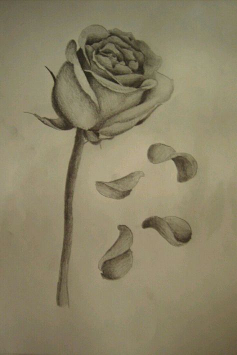 The Baker - Chapter 11: Touched - Wattpad Rose Petals Drawing, Rose Falling, Petals Tattoo, Memorial Tattoos Mom, Rose Petals Falling, Single Rose Tattoos, Rose Tattoo Meaning, Falling Petals, Flores Tattoo