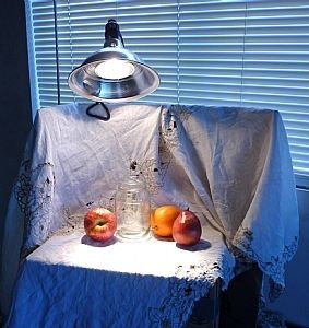 Mary Aslin - Blog: Inexpensive and functional still life setup Still Life Set Up For Painting, Atelier Drawing, Floating Objects, Painting Equipment, Shape Photography, Still Life Photos, Life Paintings, Painting Art Lesson, Still Life Drawing