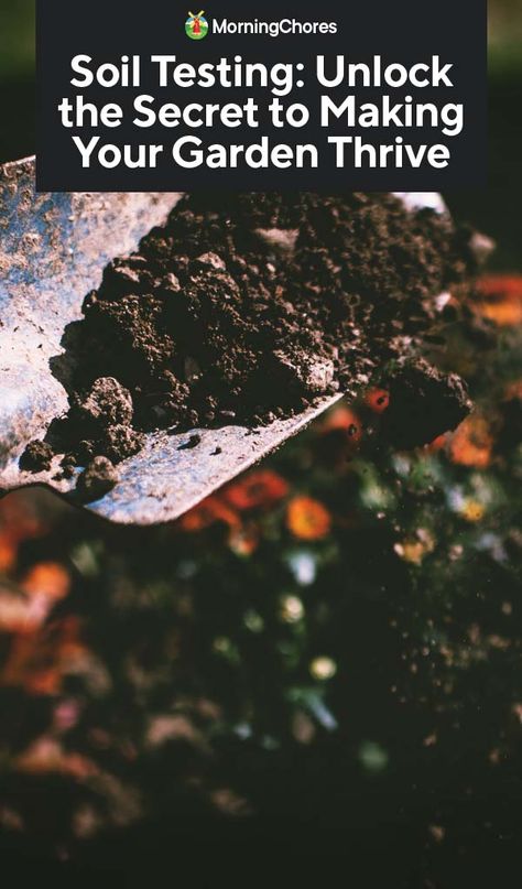 Soil Testing: Unlock the Secret to Making Your Garden Thrive Healthy Garden Soil, Garden Diy Decoration Ideas, Garden Soil Preparation, Thriving Garden, Soil Testing, Healthy Garden, Home Vegetable Garden, Homestead Survival, Soil Health