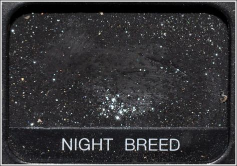 Nars Eyeshadow Single Aesthetic, Eyeshadow Names, Eyeshadow Singles, Nars Eyeshadow, Yennefer Of Vengerberg, Mazzy Star, Products Makeup, Jeffree Star, Urban Wear