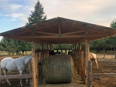 Horse Property Ideas, Horse Fencing Ideas, Horse Pasture Shelter, Horse Pasture Ideas, Horse Run In Shelter, Tack Shed, Horse Barn Ideas, Simple Horse Barns, Hay Shed