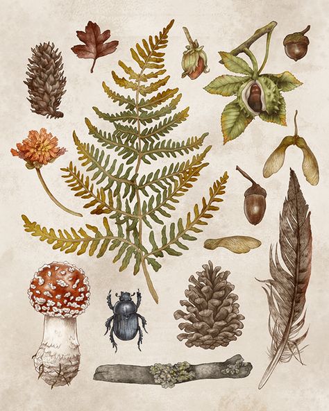 Forest Botanical Illustration, Autumn Aesthetic Tattoo, Fall Prints Aesthetic, Autumn Botanical Illustration, Autumn Aesthetic Illustration, Autumnal Illustration, Autumn Forest Illustration, Autumn Illustration Art, Autumn Drawing Ideas