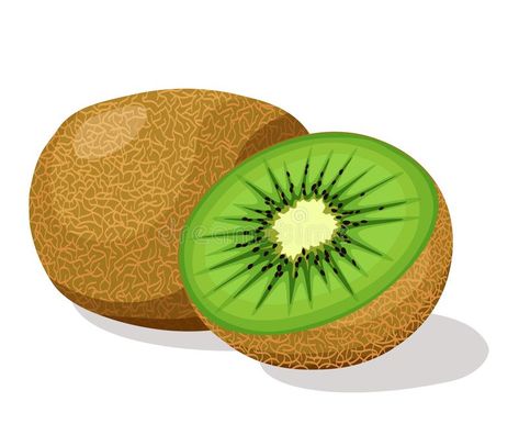 Kiwi Illustration Fruit, Kiwi Cartoon, Kiwi Drawing, Kiwi Illustration, Fruit Challenge, Kiwi Vector, Fresh Illustration, Kiwi Design, Abc Song