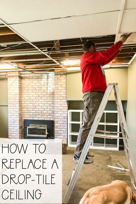 Replacing Ceiling Tiles, Drop Ceiling Makeover, Drop Ceiling Basement, White Ceiling Paint, Drop Down Ceiling, Basement Diy, Ceiling Tiles Basement, Tile Ceiling, Drop Ceiling Tiles