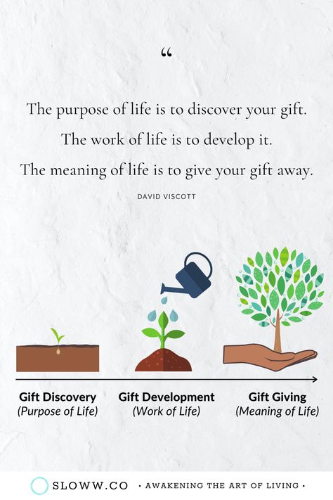 Purpose Quotes Inspiration, Zen Words, Life Purpose Quotes, Finding Meaning In Life, History Of Philosophy, Life Meaning, Purpose Quotes, The Purpose Of Life, Philosophical Thoughts