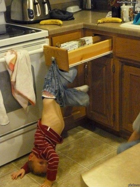 24 People That Heard "Get Help" As "Get The Camera!" Laugh Of The Day, Beteg Humor, Foto Kids, Cărți Harry Potter, صور مضحكة, Laughing So Hard, Bones Funny, Upside Down, Funny Kids