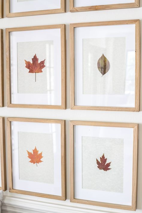 Leaf Art Diy, Dry Leaf Art, Autumn Leaves Craft, Leaf Projects, Autumn Leaves Art, Framed Leaves, Art 2022, Dry Leaves, Fall Entryway