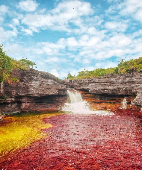 Rio Cano Cristales, Colombia South America Travel Destinations, Visit Colombia, Backpacking South America, Backpacking Asia, Colombia Travel, Countries To Visit, Travel South, South America Travel, Best Places To Visit