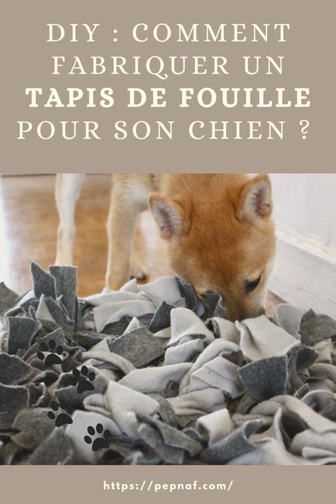 Un tutoriel simple pour réaliser à moindre coût un tapis de fouille pour votre chien, idéal pour sa stimulation mentale et éviter l'ennui. Basset Hound, Animal Planet, Animals And Pets, Chihuahua, Food Animals, Dog Cat, Puppies, Dogs, Animals