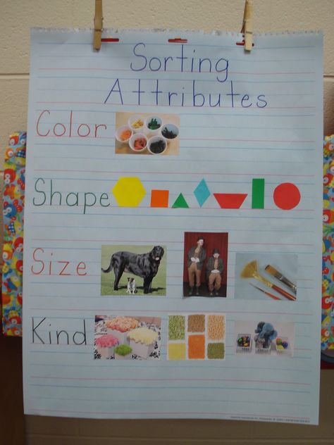 Sorting By Multiple Attributes Preschool, Math Sorting Activities, Math Sort, Kindergarten Anchor Charts, Math Patterns, Math Centers Kindergarten, Prek Math, Math Anchor Charts, Kindergarten Science