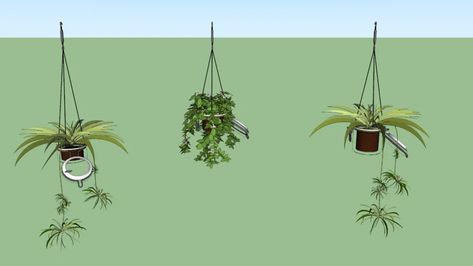 Hanging plant pots - - 3D Warehouse Hanging Plant Pots, Hanging Plants Outdoor, Gardening Decor, Indoor Plant Wall, 3d Tree, Plants Outdoor, Sketchup Model, Architecture Building Design, Small Potted Plants