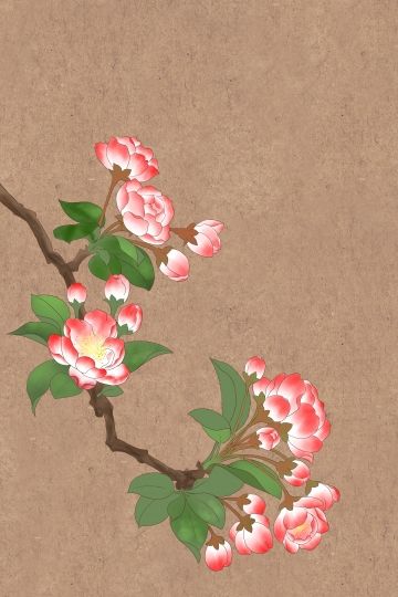 Chinese Ancient Painting, Chinese Traditional Art, Chinese Painting Flowers, Begonia Flower, Chinese Flowers, Chinese Flower, Korean Painting, Chinese Art Painting, Ancient Paintings