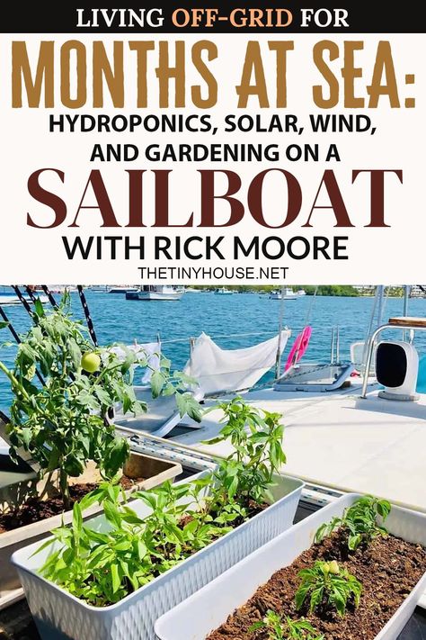 Sailboat Living Boat Life, Sailboat Living Interiors, Living On A Sailboat, Sailboat Cruises, Liveaboard Sailboat, Sailing Life, Middle Of The Ocean, Sailing Lessons, Sailboat Interior