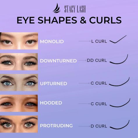 Different Types Of Lash Curls, Eyelashes For Different Eye Shapes, Different Lash Curl Types, Mixing Lash Curls, Lash Extensions Learning, Lashes Curl Types, Different Eye Shapes Lash Extensions, Eye Shape Lash Map, Lash Eye Shape