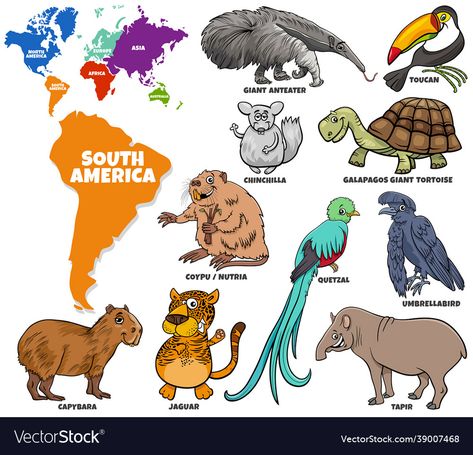 South American Animals, World Map With Continents, European Animals, Continents Activities, World Map Continents, Ed Game, Animals Around The World, Montessori Geography, Geography Activities