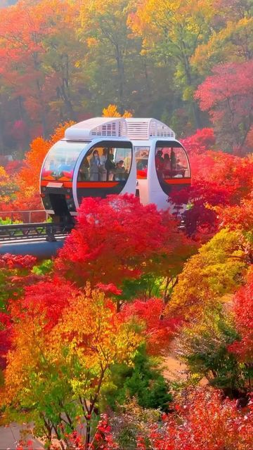 Seoul 🇰🇷 서울 여행 가이드 Travel | Hotels | Food | Tips on Instagram: "Visiting Hwadam Forest is a must this autumn! 🍂♥️ Share with your bestie to tag along 🤩 🎥 @colorny ✨ 📍Gwangju, South Korea" Gwangju South Korea, World Famous Places, Beach Sky, Sea Summer, Sky Landscape, Asia Travel Guide, Summer Mood, Beautiful Views Video, Asia Destinations