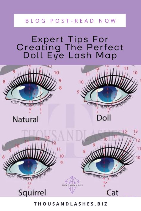 Car Eye Lash Extensions Map, Lash Extension Doll Eye, Small Eye Lash Map, Classic Eyelash Extensions Doll Eye, Open Doll Eye Lash Extensions, Open Eye Lashes Extension, Doll Eye Vs Open Eye Lash Extensions, Open Eye Classic Lash Extensions Mapping, Lash Extensions For Hooded Eyes Map