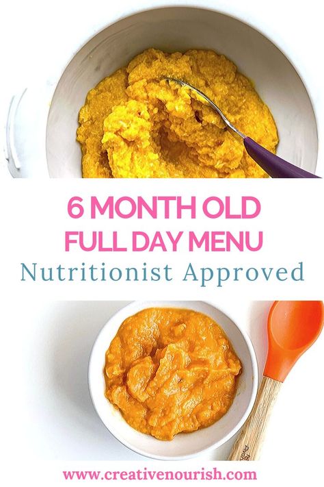 6 Month Old Food, Meal Plan For Toddlers, Baby Meal Plan, 6 Month Baby Food, Free Meal Planner, Baby Breakfast, Meal Planner Printable Free, Sample Meal Plan, Weaning Recipes