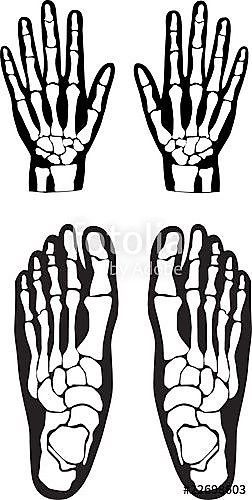 Costume Template, Skeleton Template, Den Mrtvých, Body Skeleton, Feet Drawing, Skeleton Drawings, Skeleton Hand Tattoo, Skeleton Svg, Skeleton Costume