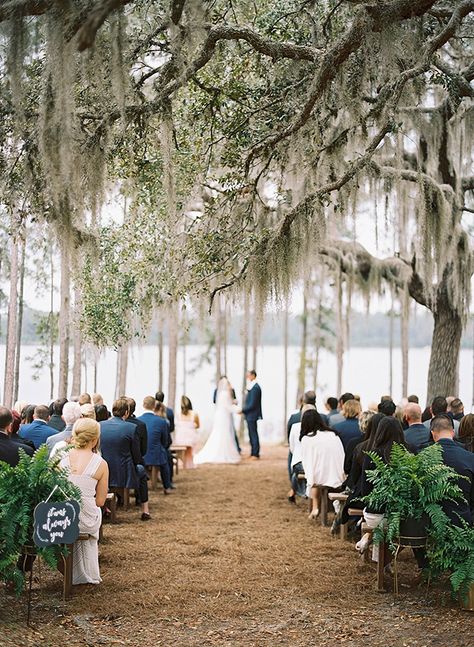 Elegant Lake Wedding Under A Spanish Moss Tree - Inspired By This Spanish Moss Trees, Redwood Forest Wedding, Lake Wedding Venues, Forest Wedding Venue, Campground Wedding, Wedding Features, Wedding Ceremony Ideas, Wedding Venue Inspiration, Wedding Site