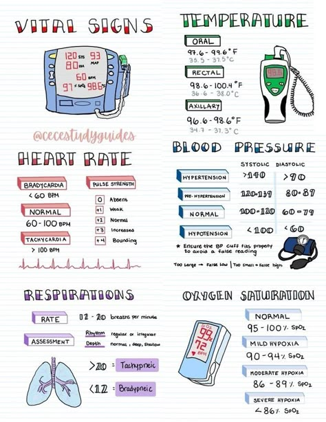 Nursing School Studying Cheat Sheets, Emt Study, Nursing School Life, Medical Assistant Student, Nursing School Inspiration, Nursing School Essential, Medical Notes, Nurse Study, Medical School Life