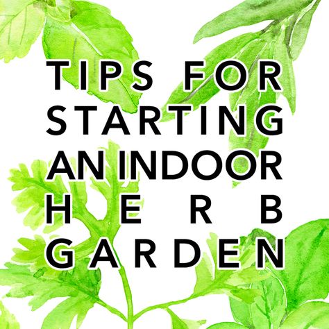 Tips for Starting an Indoor Herb Garden - The Cottage Market Plants Indoor Design, Plants Indoor Decoration, Herb Garden Wall, Kebun Herbal, Indoor Herbs, Gardening Herbs, Herbs Garden, Indoor Herb, Trendy Plants