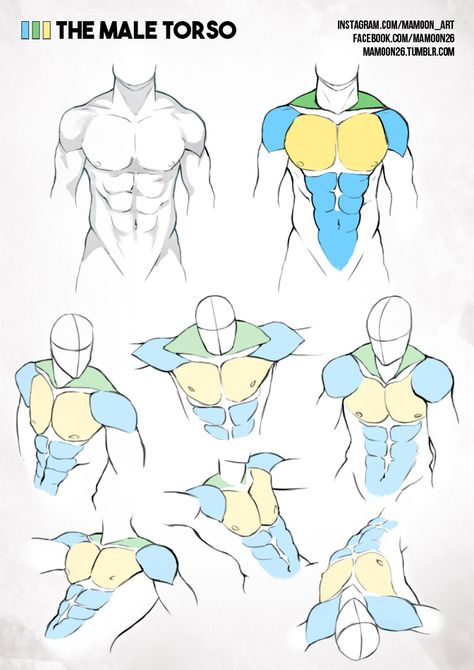 simplified anatomy 01 - male torso by mamoonart.deviantart.com on @DeviantArt Male Figure Drawing, Man Anatomy, Modeling Poses, Výtvarné Reference, Human Anatomy Drawing, Male Torso, Human Figure Drawing, Human Anatomy Art, Anatomy Sketches