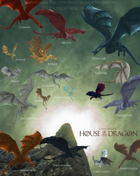 House Of The Dragon Shifting, Targaryen Dragons, Hotd Dragons, Dragon Anatomy, Types Of Dragons, Game Of Thrones Artwork, Dragon Names, Game Of Thrones Dragons, Got Dragons