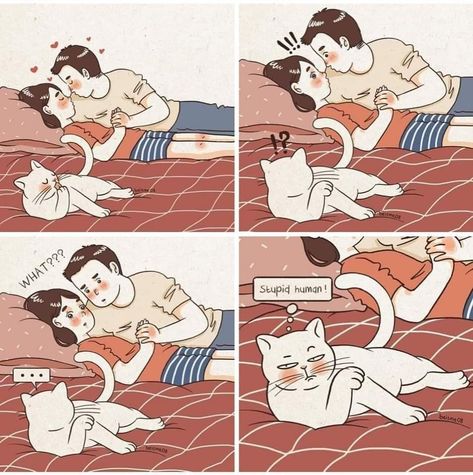 Haidar Ali, Loving Boyfriend, Parenting Comics, Romantic Comics, Relationship Comics, Kitten Images, Being In A Relationship, Cute Couple Comics, Couples Comics