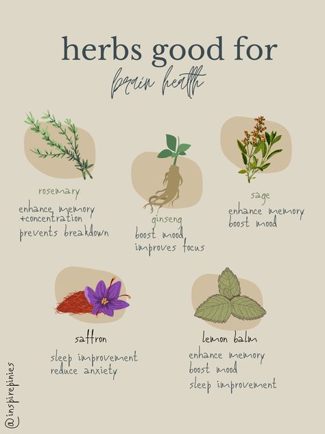 Herbs For Inflammation, Osteoporosis Prevention, Natural Path, Mental Healing, Healing Waters, Herbal Tinctures, Herbs For Health, Morning Sickness, Mental Health Support