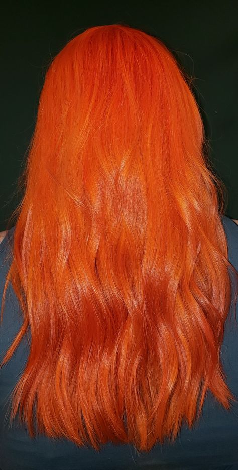 Pravana orange hair Mandarin Hair Color, Orange Roots Red Hair, Fiery Orange Hair, Vibrant Orange Hair, Vivid Orange Hair, Cool Tone Orange Hair, Orange Hair Shades, Orange Hair Dye Ideas, Shades Of Orange Hair