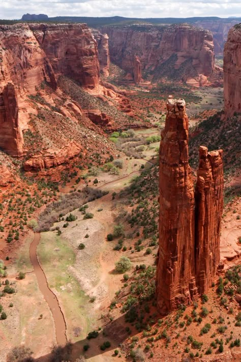 You'll find one of the best road trips you can take in America on this drive that showcases Arizona's natural beauty! Things To Do In Arizona Outdoors | Arizona Road Trip | Family Vacation | Arizona Hiking | Travel | US Travel | Wanderlust Arizona Aesthetic, Best Road Trips, Flight Centre, Las Vegas Vacation, Arizona Road Trip, Arizona Hiking, Scenic Road Trip, American Road Trip, Arizona Travel