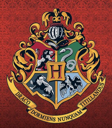 Hogwarts divide sus estudiantes en cuatro casas, Gryffindor,Ravenclaw,Hufflepuff y Slytherin. Los estudiantes son asignados a las casas por el sombrero seleccionador. Harry Potter Rug, Large Square Rugs, Hogwarts Emblem, Harry Potter Themed Room, Harry Potter Logo, Cumpleaños Harry Potter, Potters House, Harry Potter Merchandise, Hogwarts Crest