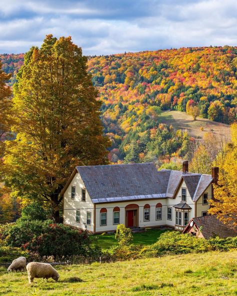 Vermont Photography, Vermont Fall, Ranch Exterior, New England States, Maple Grove, New England Fall, Country Living Magazine, You Never Know, Hall Of Fame