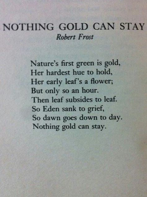 Quotes Literature, Robert Frost Poems, Nothing Gold Can Stay, Robert Frost, Literary Quotes, A Poem, Poem Quotes, Wonderful Words, Poetry Books