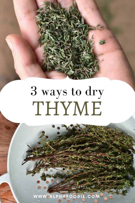 How to dry thyme with one of three methods: in the oven, in a dehydrator, or naturally. As well as how to store, convert, and use the dried thyme! Drying Thyme, Preserve Fresh Herbs, Drying Fresh Herbs, Preserving Herbs, Dehydrated Vegetables, Harvesting Herbs, Dried Thyme, Dried Lemon, Herb Recipes