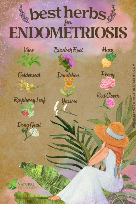 10 Absolute Best Herbs for Endometriosis #endo #endometriosis #uterus #endometriosisherbs #herbsforendometriosis #endometriosisremedies #healingendo Supplements For Endo, Herbs For Uterus Health, Endrometisis Diet, Endometrioma Diet, Healing Herbs Medicine, Healthy Uterus, Endo Belly, Fertility Herbs, Endo Warrior